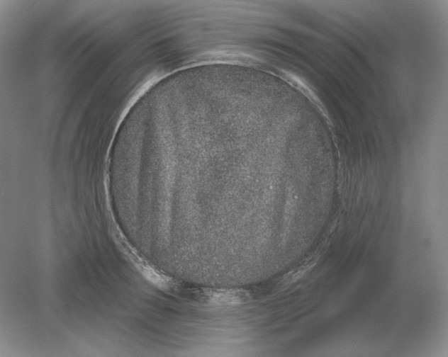 X0000079290899200612011721