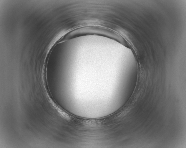 X0000079290901200612011721
