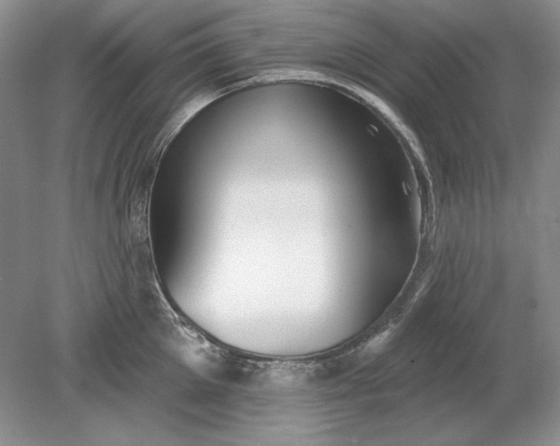 X0000079290905200612011721