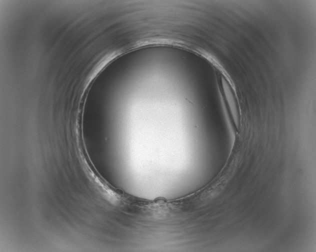 X0000079290906200612011721