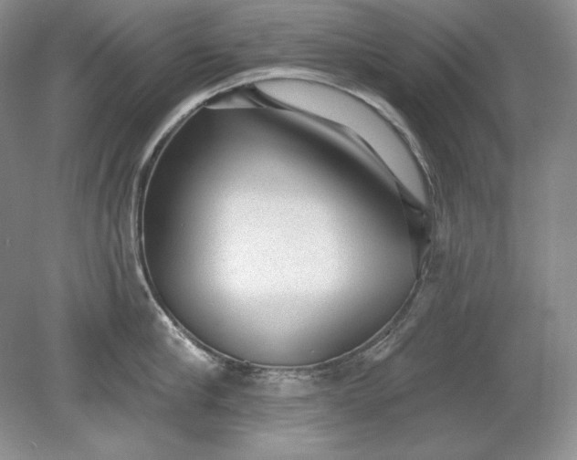 X0000079290910200612011721