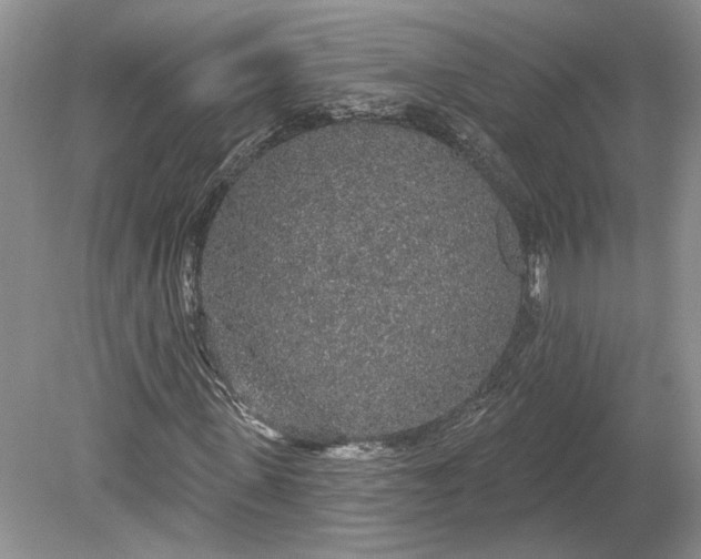 X0000079290915200612011720