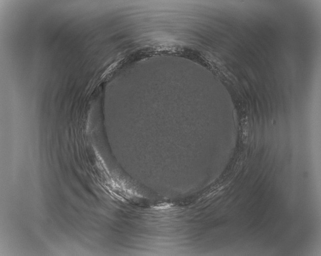 X0000079290916200612011720