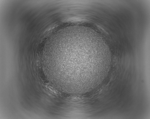 X0000079290917200612011720