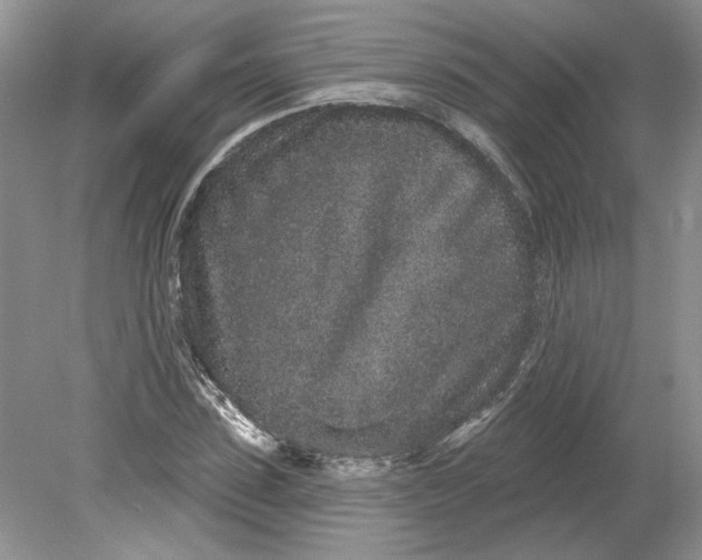 X0000079290923200612011720