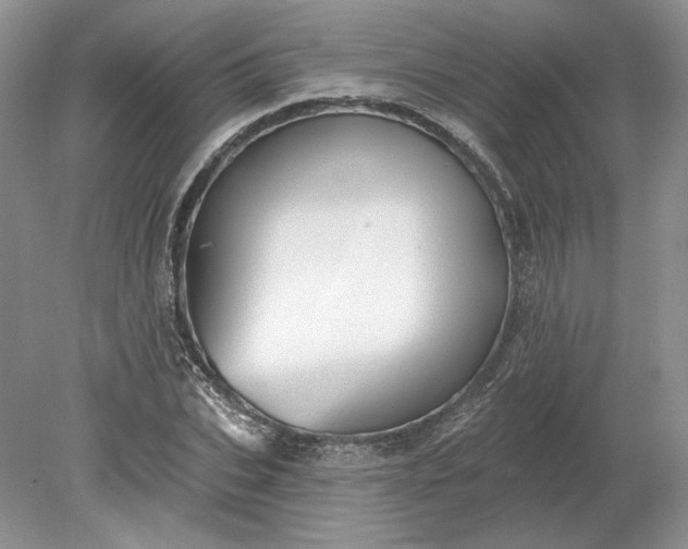 X0000079290927200612011720