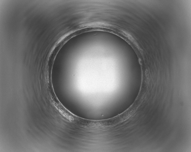 X0000079290931200612011720