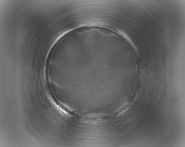 X0000079290932200612011720