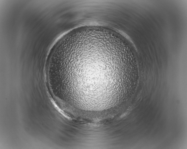X0000079290935200612011720