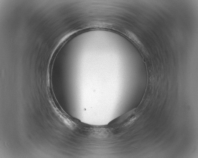 X0000079290940200612011720