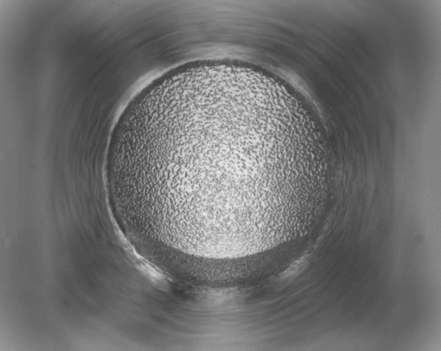 X0000079290943200612011720