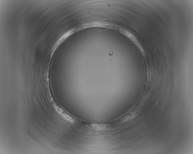 X0000079290954200612011720
