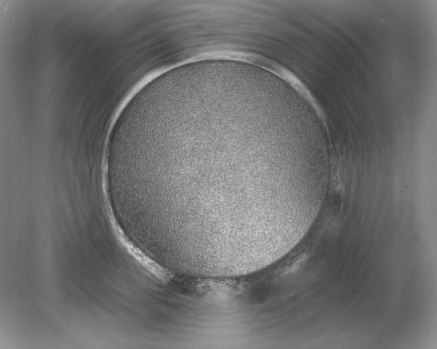 X0000079290955200612011720