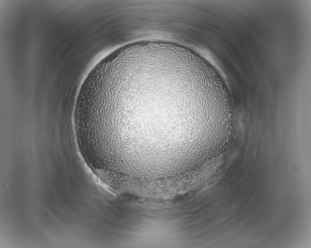 X0000079290959200612011720