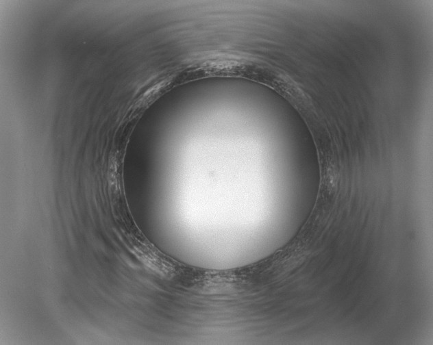 X0000079290964200612011720