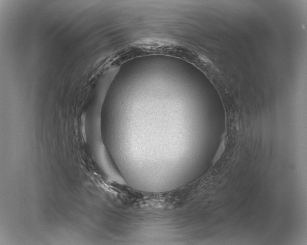 X0000079290965200612011720