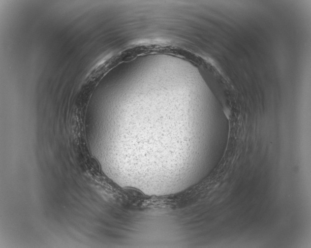 X0000079290967200612011720