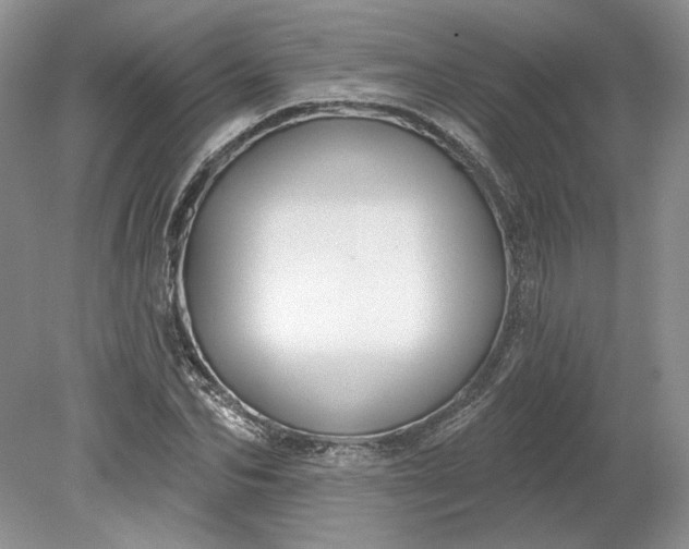 X0000079290974200612011719