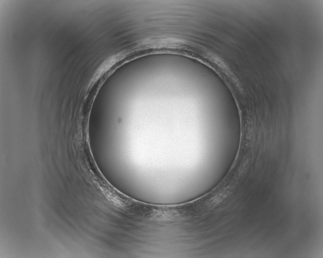 X0000079290978200612011719