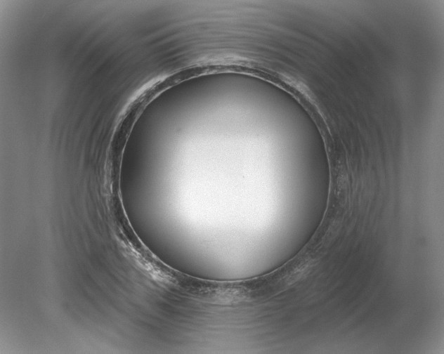 X0000079290979200612011719