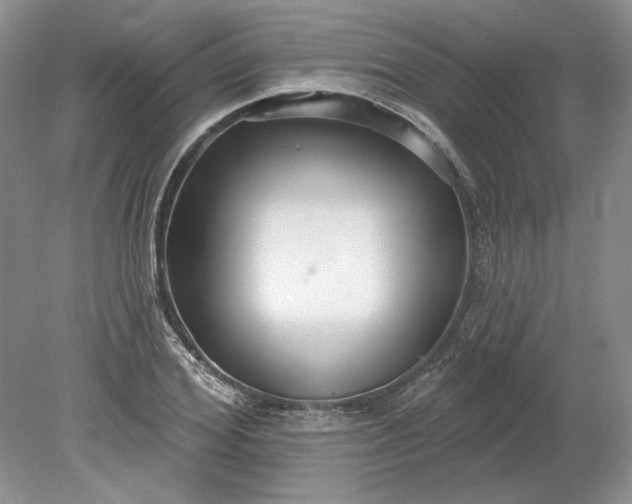 X0000079290980200612011719