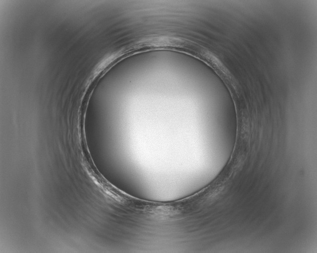 X0000079290986200612011719