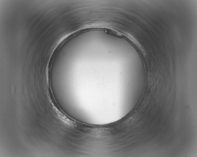 X0000079290988200612011719