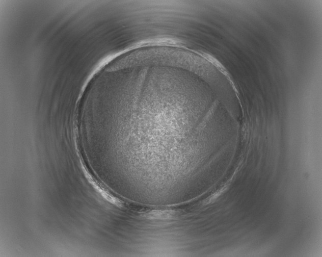 X0000079290989200612011719