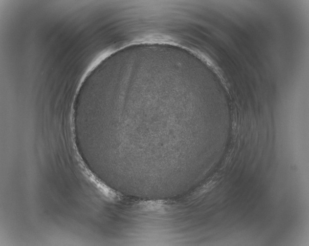 X0000079290990200612011719