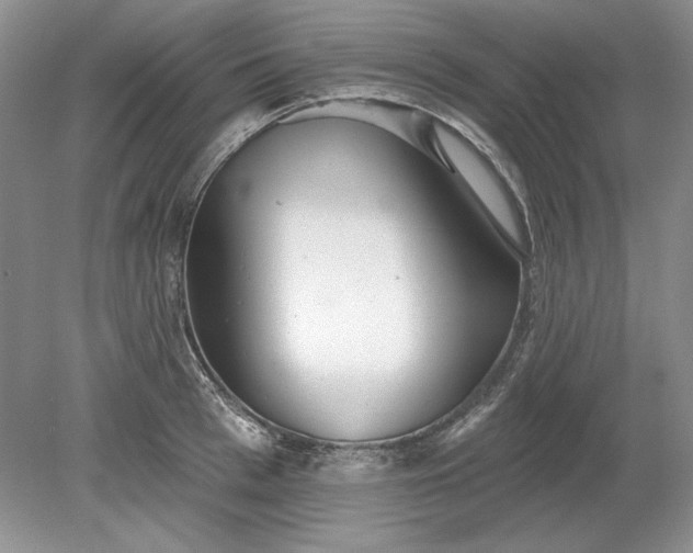 X0000079290993200612011719