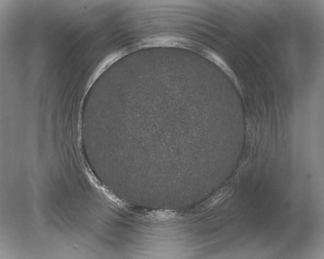 X0000079290994200612011719