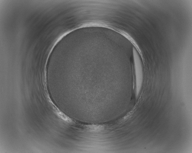 X0000079290996200612011719