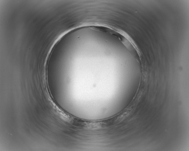 X0000079291004200612011719