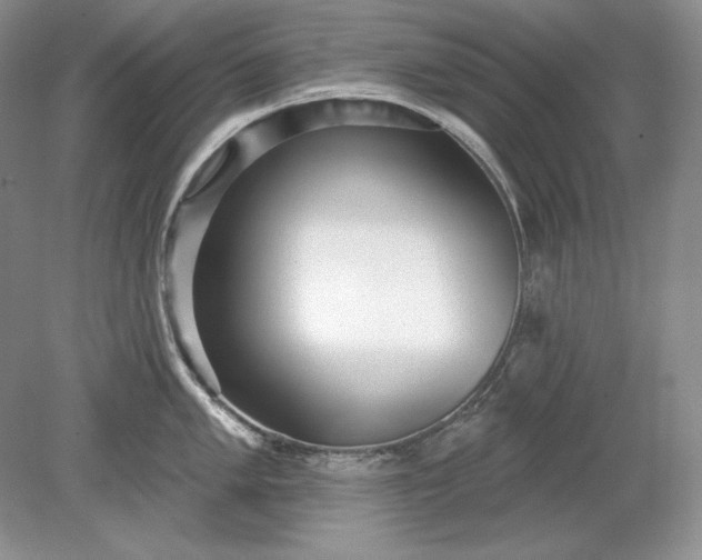 X0000079291005200612011719