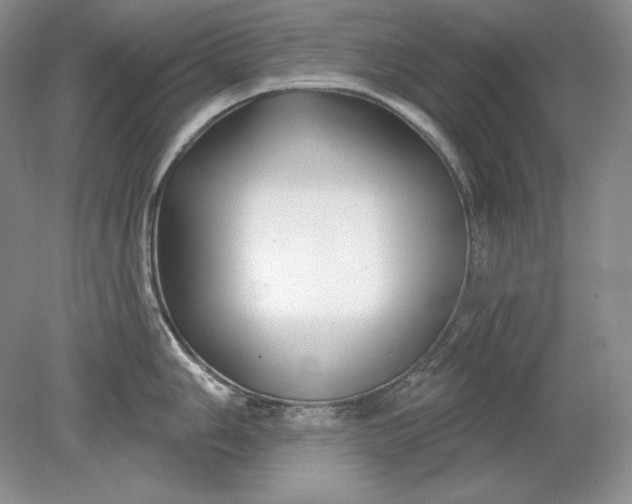 X0000079291006200612011719