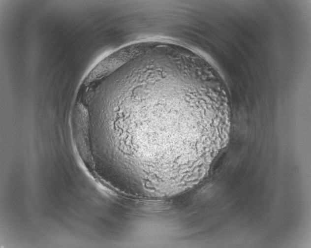X0000079291007200612011719