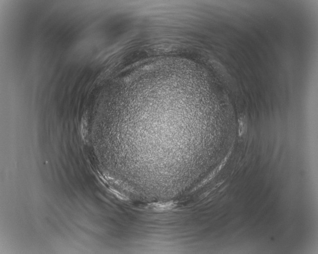 X0000079291011200612011718