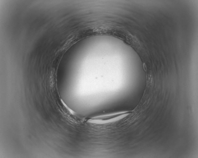 X0000079291012200612011718
