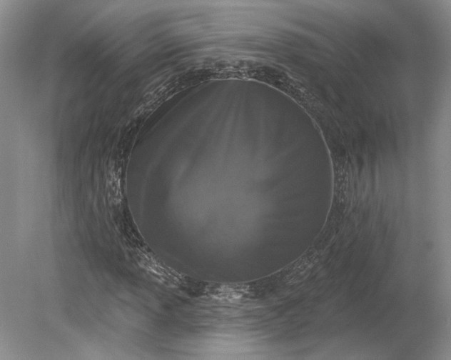 X0000079291013200612011718