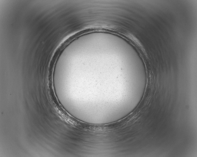 X0000079291020200612011718