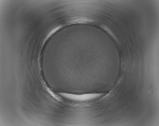 X0000079291026200612011718