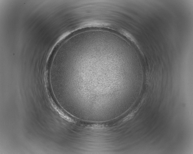 X0000079291029200612011718