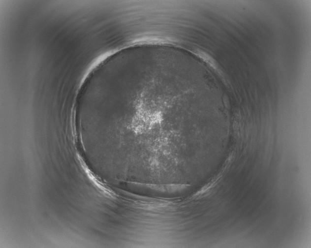 X0000079291030200612011718