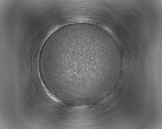 X0000079291039200612011719