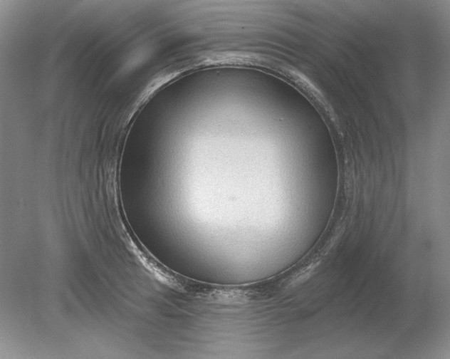 X0000079291041200612011719