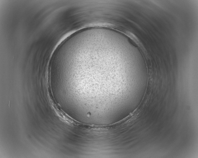 X0000079291044200612011719