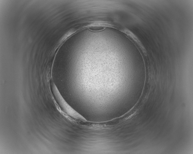 X0000079291049200612011719