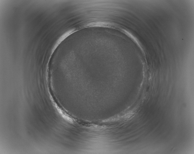 X0000079291050200612011719