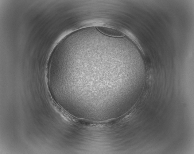X0000079291051200612011719