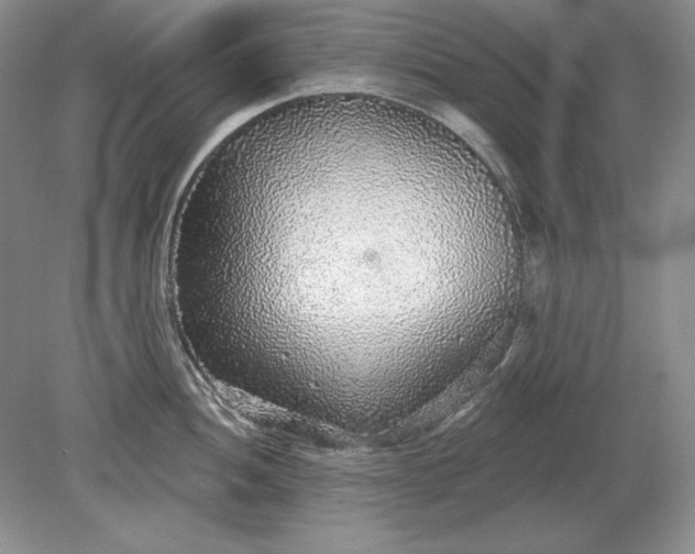 X0000079291052200612011719